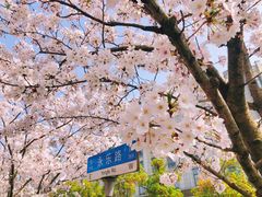 -永乐路-路侧停车场