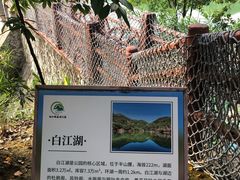 -广州白江湖森林公园