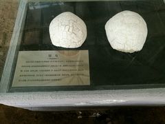 -中国第四纪冰川遗迹陈列馆