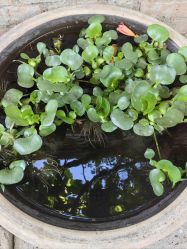 -Oasis Beauty水磨坊科技美肤中心