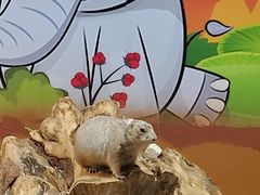 -秦皇岛新澳海底世界