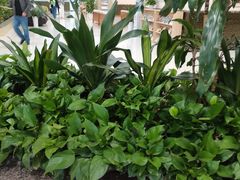 -重庆民众体检中心(奥体分院)