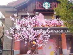 -星巴克臻选(思南公馆店)