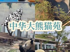 -岳阳站