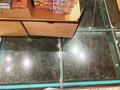 -猫的天空之城概念书店(丽江古城饮玉巷店)
