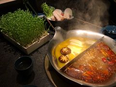 活体豆苗-湊湊火锅·茶憩(打浦桥日月光店)