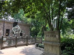 -紫金山天文台