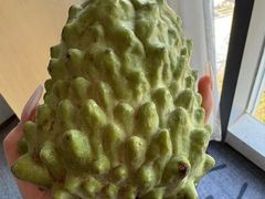 -大观篆新农贸市场