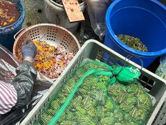 -二0二李记南瓜田鸡老字号(宜宾一店)