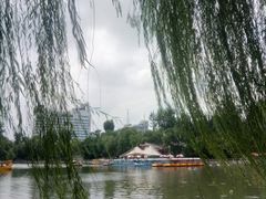 -莲湖公园