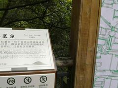 -金鸡山公园