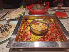 -二荆条·蜀鲜汇城市森林火锅