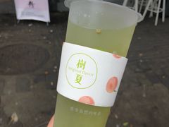 -树夏(建设路店)