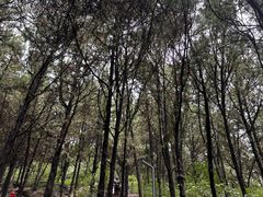 -云龙湖旅游景区