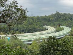 -深圳仙湖植物园