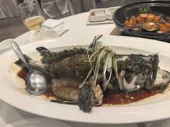 -万龙洲海鲜(大兴绿地缤纷城店)