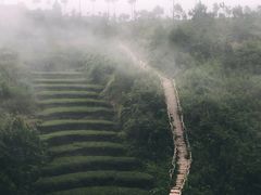 -军营村