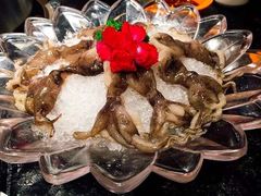 -煲宫猪肚鸡(昆山金鹰国际购物中心店)