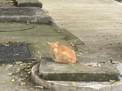 -福建省非物质文化遗产博览苑