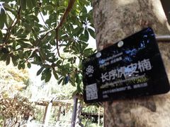 -昆明植物园
