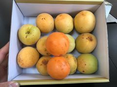 -北京鸿华高尔夫练习场