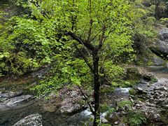 -雁荡山风景名胜区