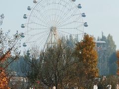 -白洋淀景区