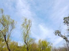 -蜀冈西峰生态公园