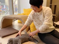 -藏猫猫咖啡主题馆(中央大道店)