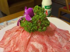 -杨肥肠火锅大排档(火车站花园店)