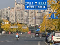 -攀枝花·任德琼·盐边羊肉米线