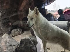 -杭州野生动物世界