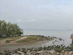 -深圳湾公园(南山区)