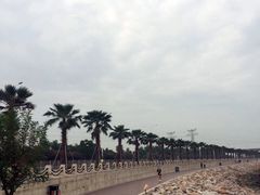 -宝安西湾红树林湿地公园