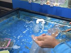 虾-盒马鲜生(馥邦国际店)