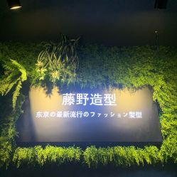 点击看大图 -藤野造型