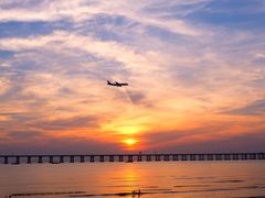 -宝安西湾红树林湿地公园