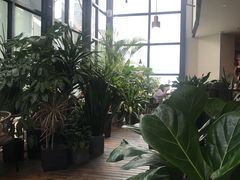 -大树餐厅(红旗街万达店)