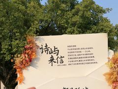 -江心屿景区