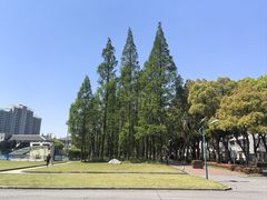 -上海财经大学(国定路校区)