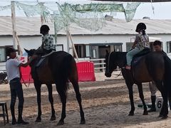 -北京群众马术培训基地