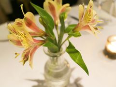 -蝶舍·MAISON PAPILLON