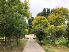 -东郊湿地公园