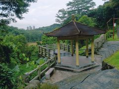 -阳台山森林公园