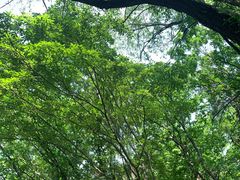 -沈阳辉山风景区