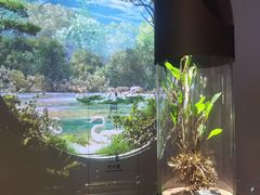 -中国湿地博物馆