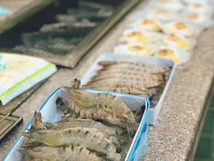 -吴淞炮台湾湿地森林公园烧烤区