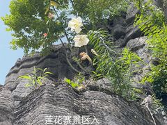 -梭布垭石林景区