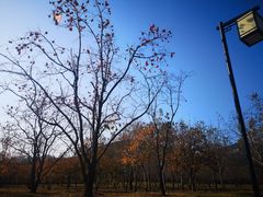 -青州市云门山风景区