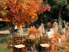 -HERRE·FARM 赫尔露营农场·团建聚会包场